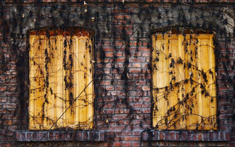 CargoGMBH Zürich office